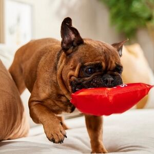 Fun Food Dogritos Chips Squeaky Plush Dog Toy